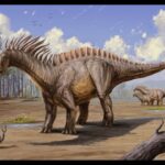 Descubriendo al Amargasaurio: El Dinosaurio de las Espinas