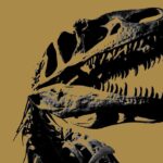 El Velociraptor: el dinosaurio corredor por excelencia