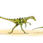 Gallimimo: El dinosaurio más veloz que un velociraptor