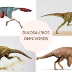 ¿Qué comían los dinosaurios omnívoros?