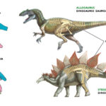 Saurisquios: Los dinosaurios con caderas de lagarto
