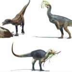 Los saurópodos: Dinosaurios de cuello largo que dominaron el Mesozoico